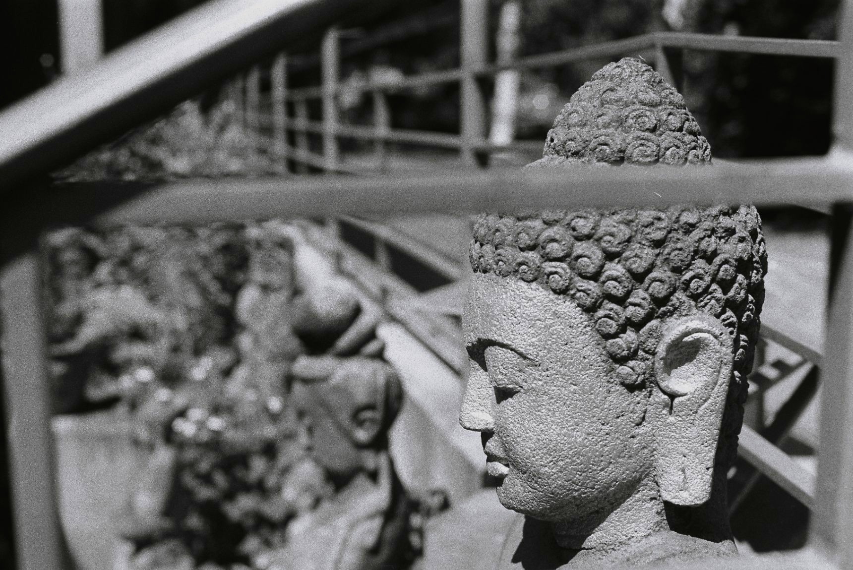 Minolta SRT-201 Buddha Photo