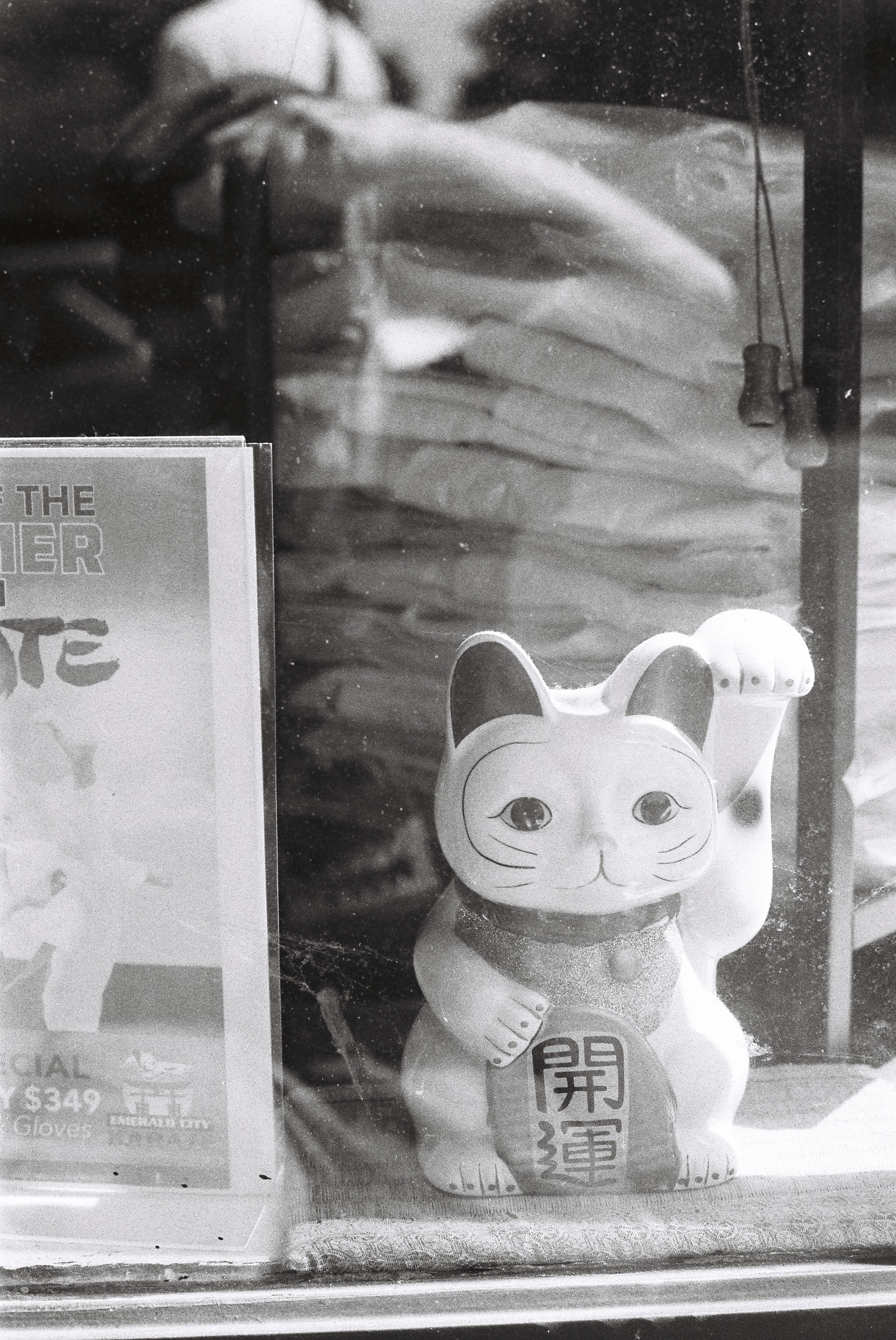 Minolta SRT-201 Luckcat Photo