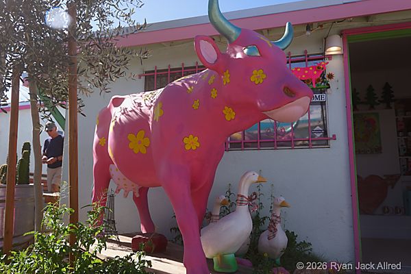 Pink Cow Sculpture