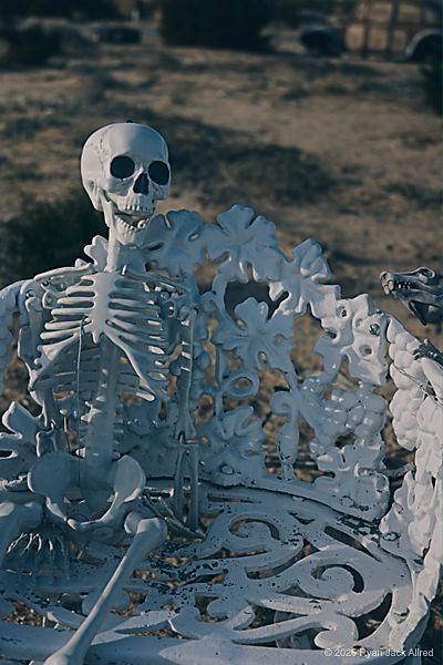 Glass Outhouse Art Gallery Another Skeleton