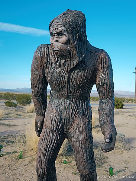 Glass Outhouse Art Gallery Bigfoot Exists