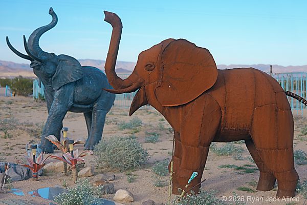 Glass Outhouse Art Gallery Elephants Rejoice