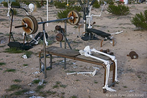 Glass Outhouse Art Gallery Skeleton Bench Press