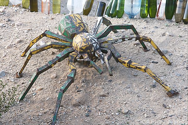 Glass Outhouse Art Gallery Tarantula Sculpture