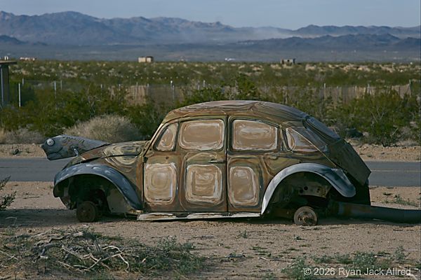 Glass Outhouse Art Gallery Tortoise Bug Sculpture