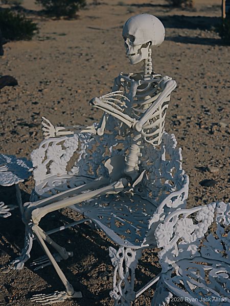 Glass Outhouse Art Gallery Waiting Skeleton