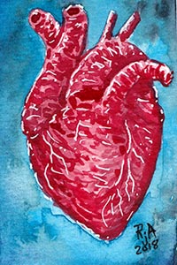 Human Heart Watercolor