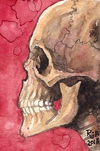 Human Skull Watercolor