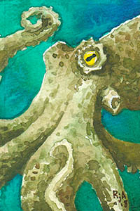 Watercolor Octopus 2x3 Illustration